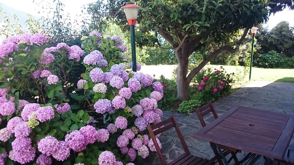 Villa Venino Moneglia Bagian luar foto