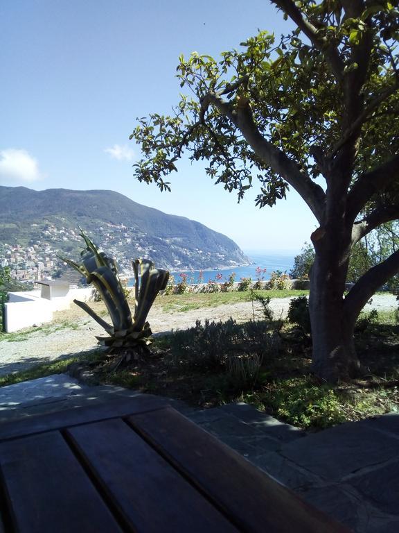 Villa Venino Moneglia Bagian luar foto